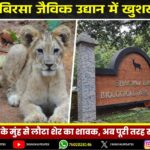 महा अष्टमी की झलकियां: राँची में भक्ति और उत्साह का संगम | Maha Ashtami Vibes in Ranchi: Devotion & Festive Spirit