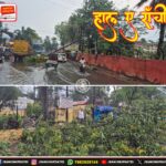 राँची में आंधी-बारिश से पेड़ गिरा, यातायात और बिजली व्यवस्था प्रभावित | Tree Falls Amid Storm in Ranchi, Traffic & Power Hit